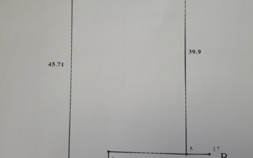 Продажа земли с лесом город Буча. Лесная Буча. Тоскана Гриль.