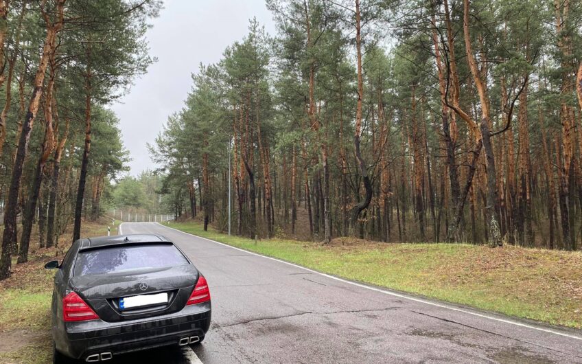 Плюты  (Конча — Заспа) 750 соток  участок правильной формы в сосновом лесу