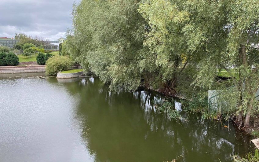 Продам современный одноэтажный дом в коттеджном городке Green Town.