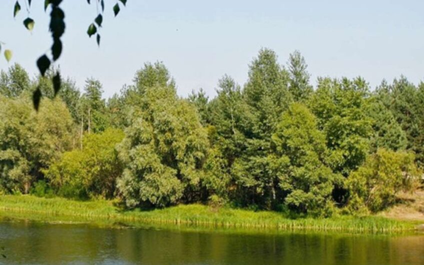 Продажа земли 70 соток с выходом на Днепр Вышгород ,Riviera Villas.