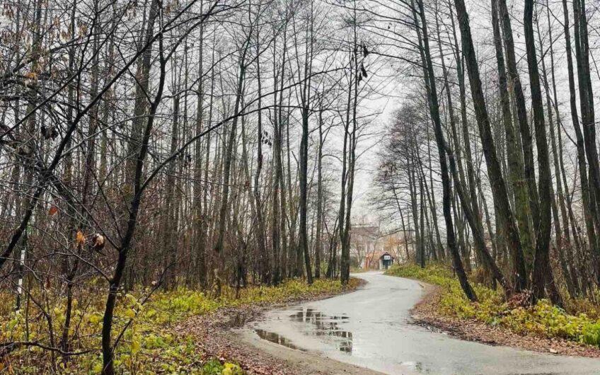 Продажа дома Конче-Заспе село Чапаевка .