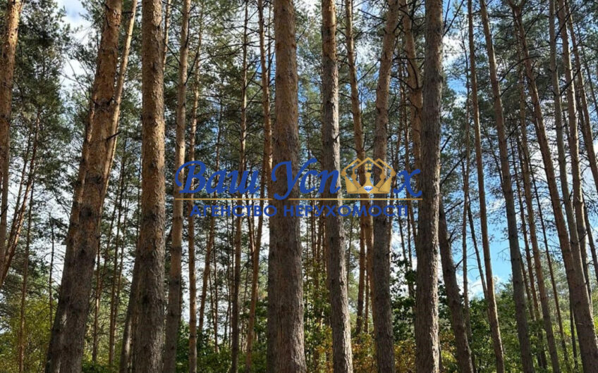 ПРОДАЖ будинка .Конча — Заспа з выходом на реку  в лесу , навпроти Kozyn Seven Club.