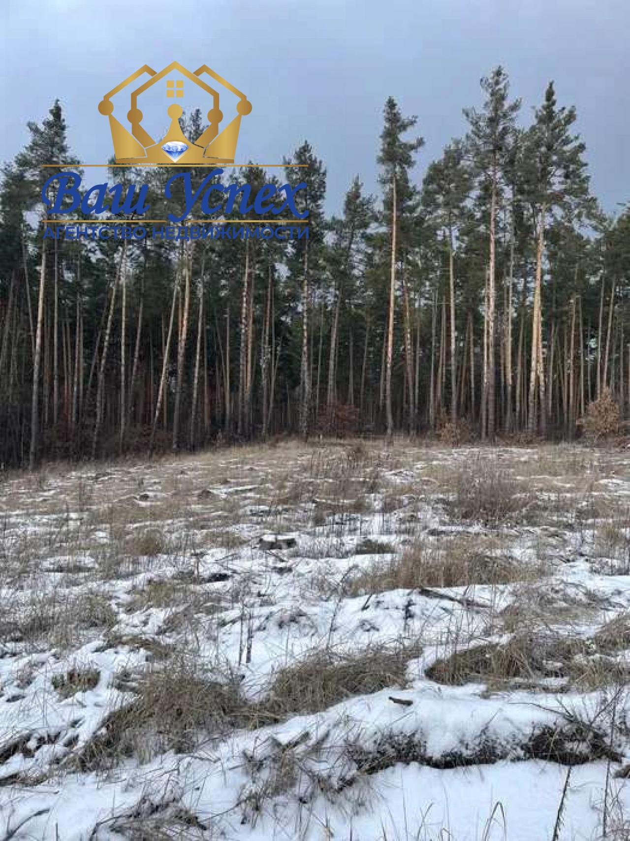 Продам участок село Плюты 9.8 гектар.