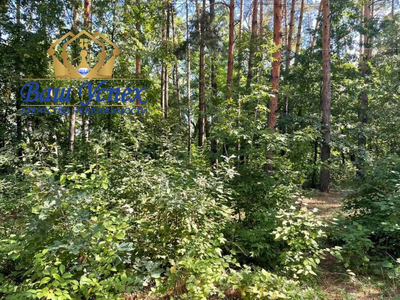Продается участок в Плютах . 60 соток земли.
