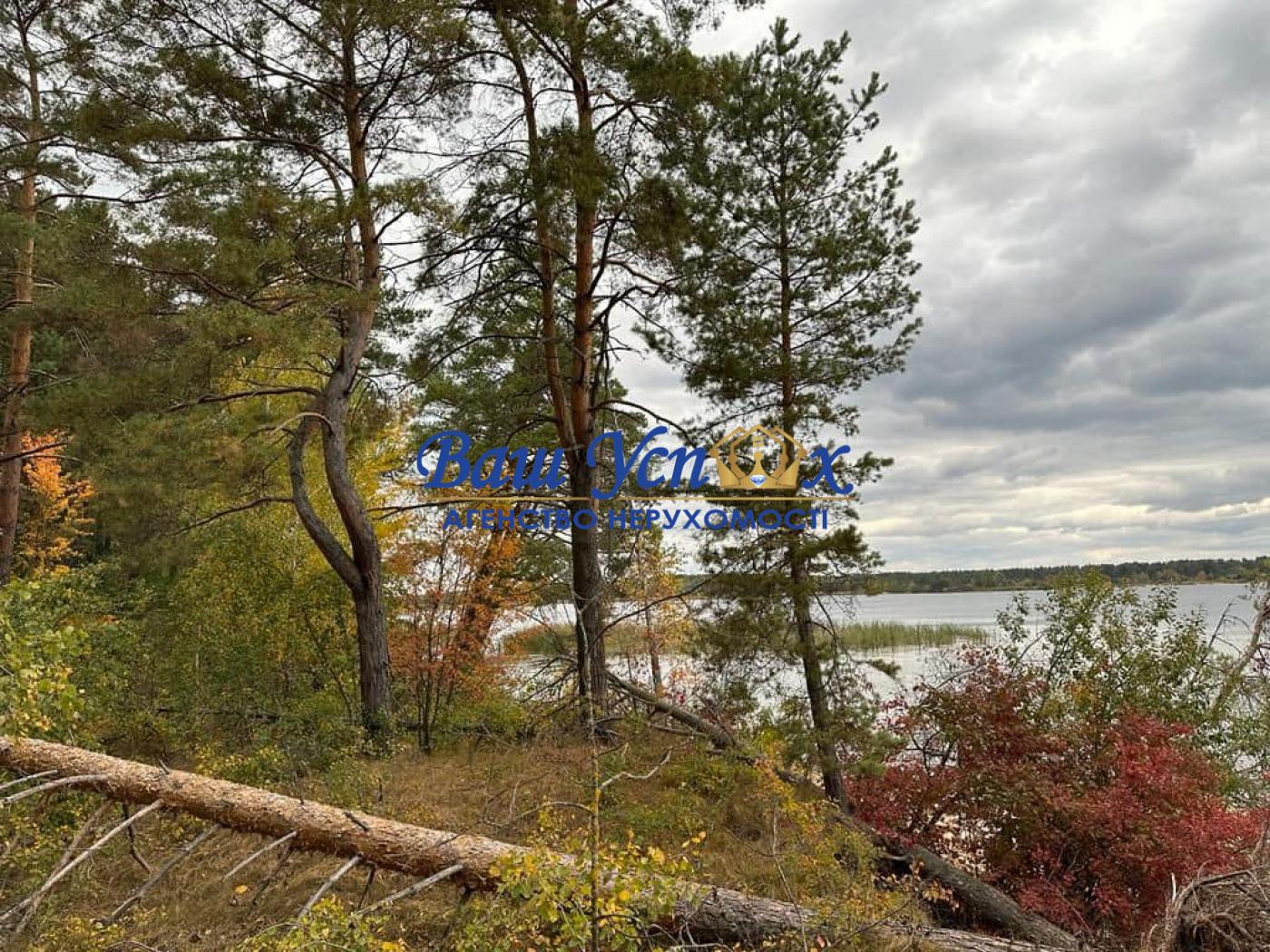 Продажа земли с лесом и выходом на Днепр. село Ясногородка
