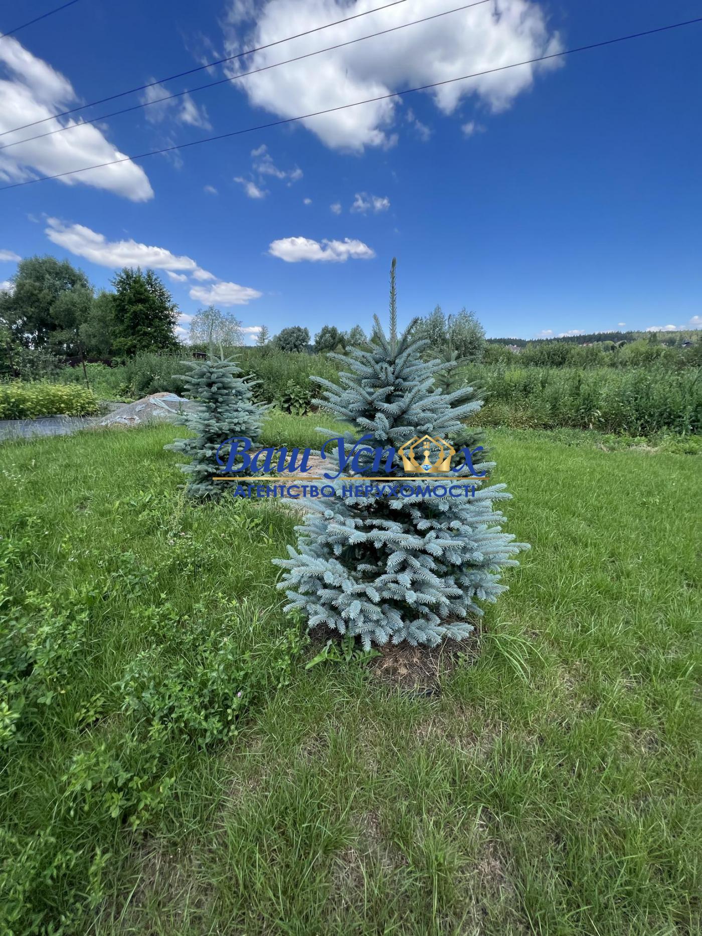 Продаж  земли  з озером під інд. будівництво . село Ходосовка.