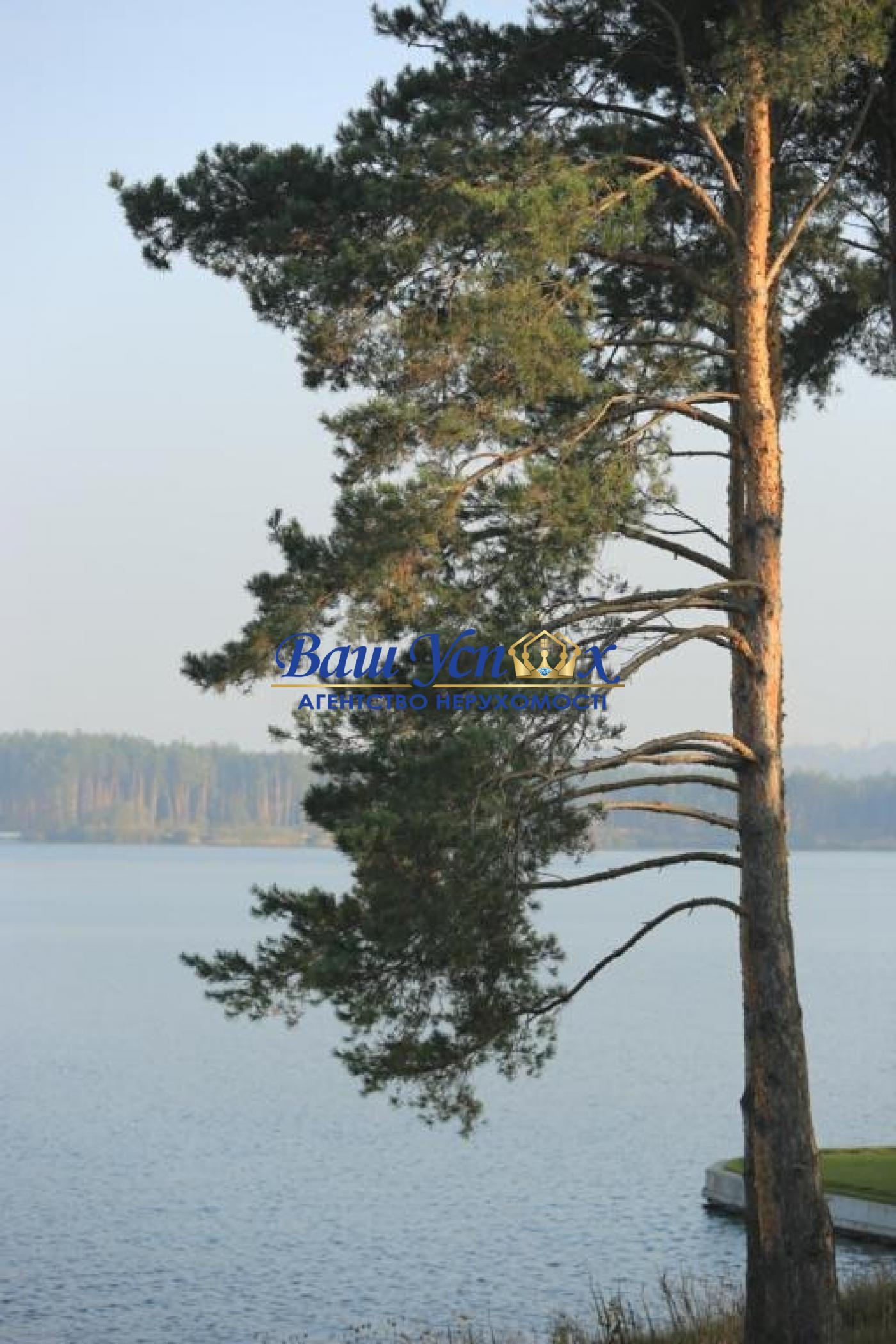 Оренда будинка у лісі на березі річки Стугна. село Таценки